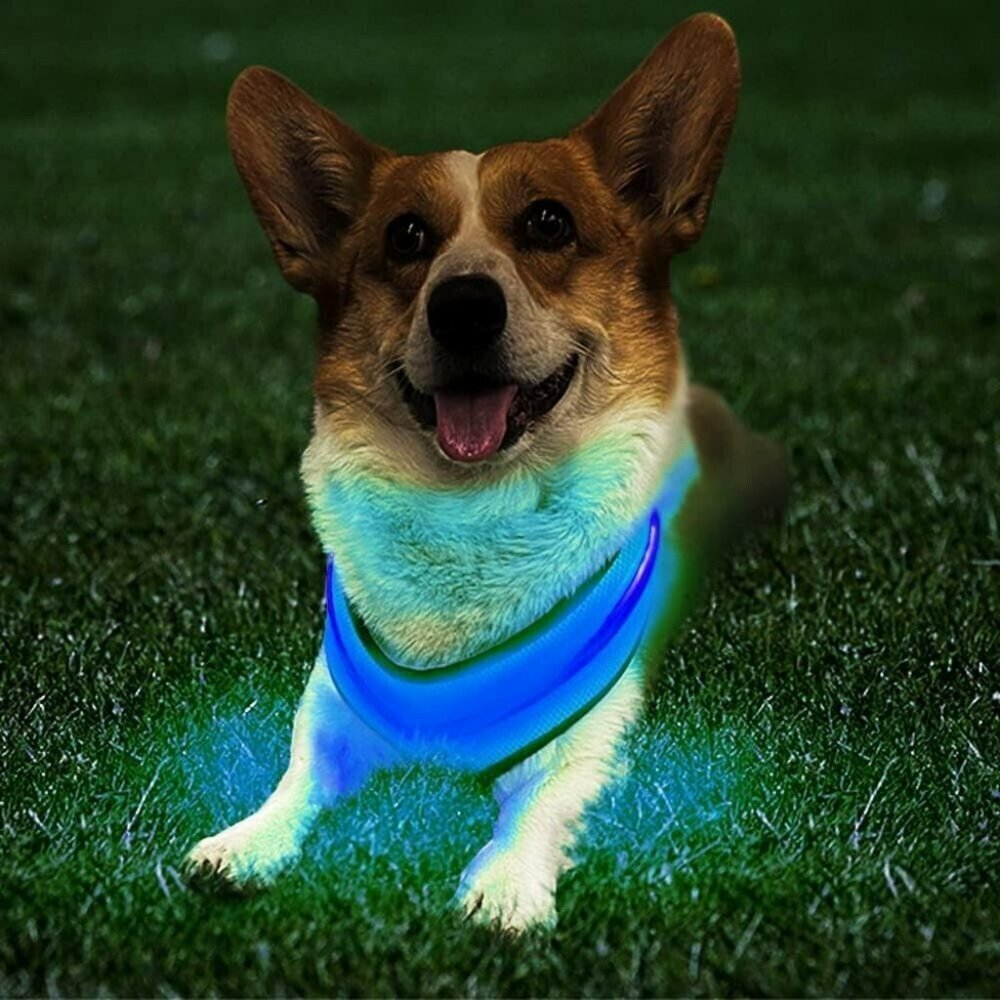 NEW DAIJUN LED BLUE Dog Harness, USB Rechargeable, Reflective Light Up Adjust